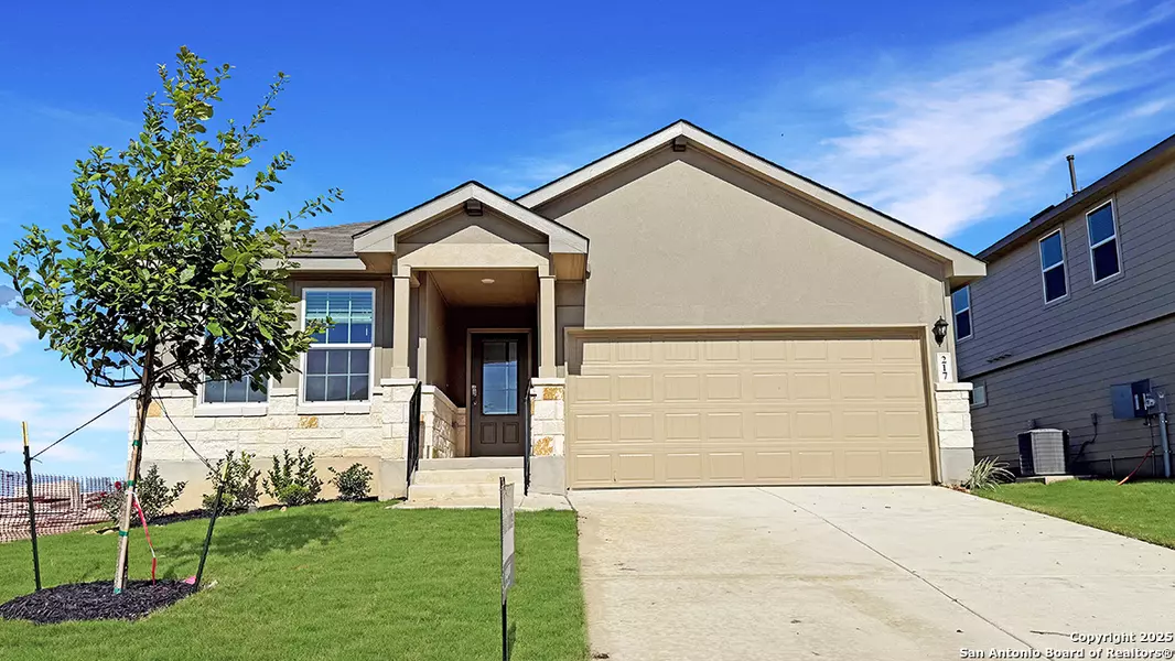 217 Squacco Heron, San Antonio, TX 78253