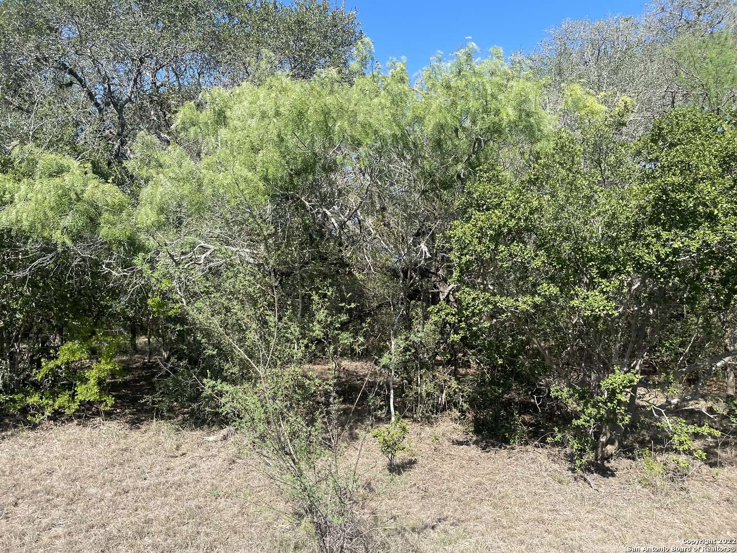 Goliad, TX 77963,3626 Old Goliad Rd