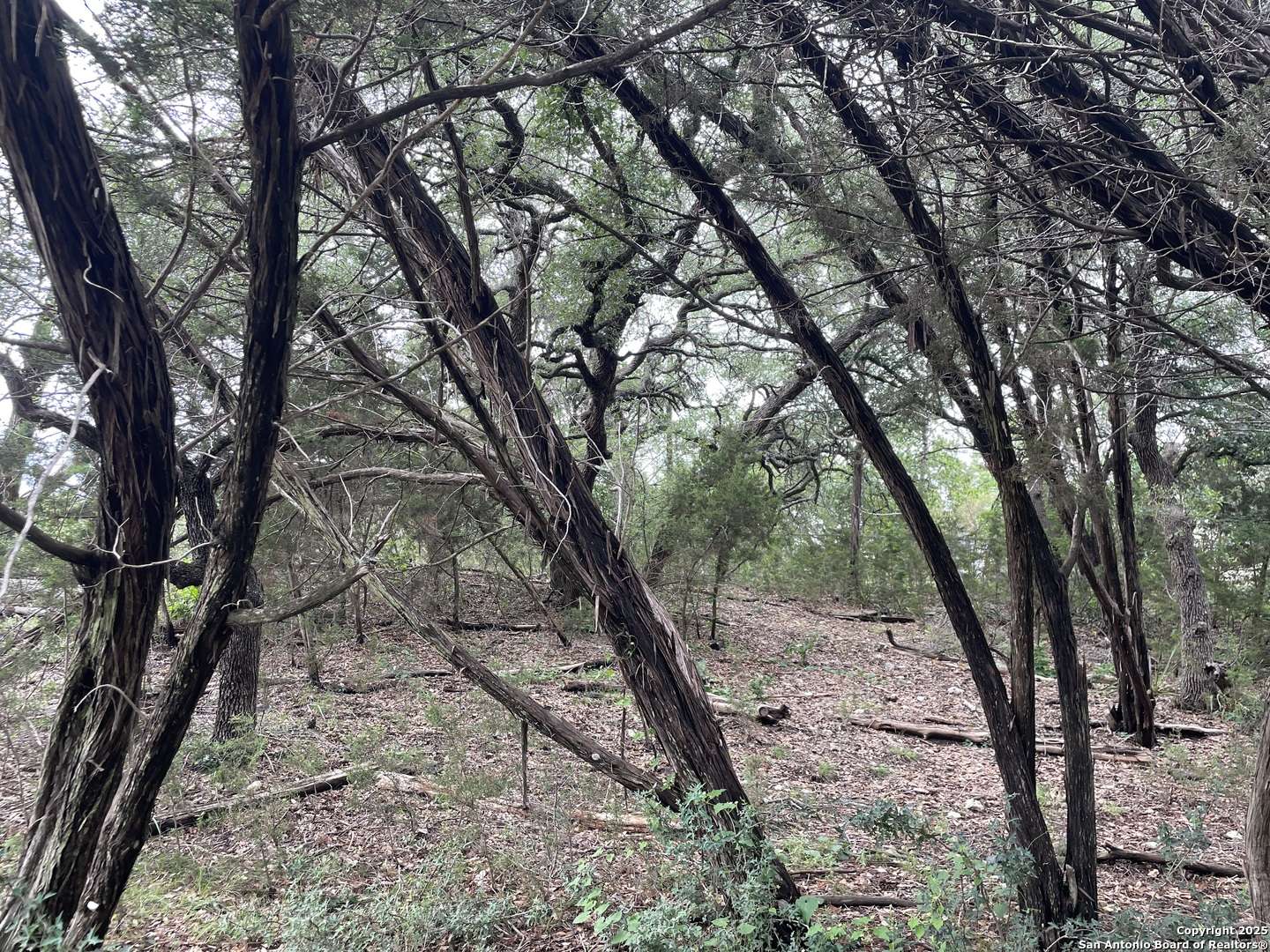 Spring Branch, TX 78070,1021 Santa Fe