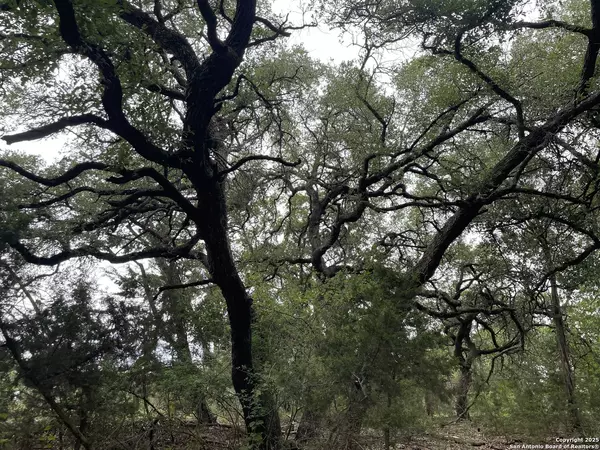 Spring Branch, TX 78070,1021 Santa Fe