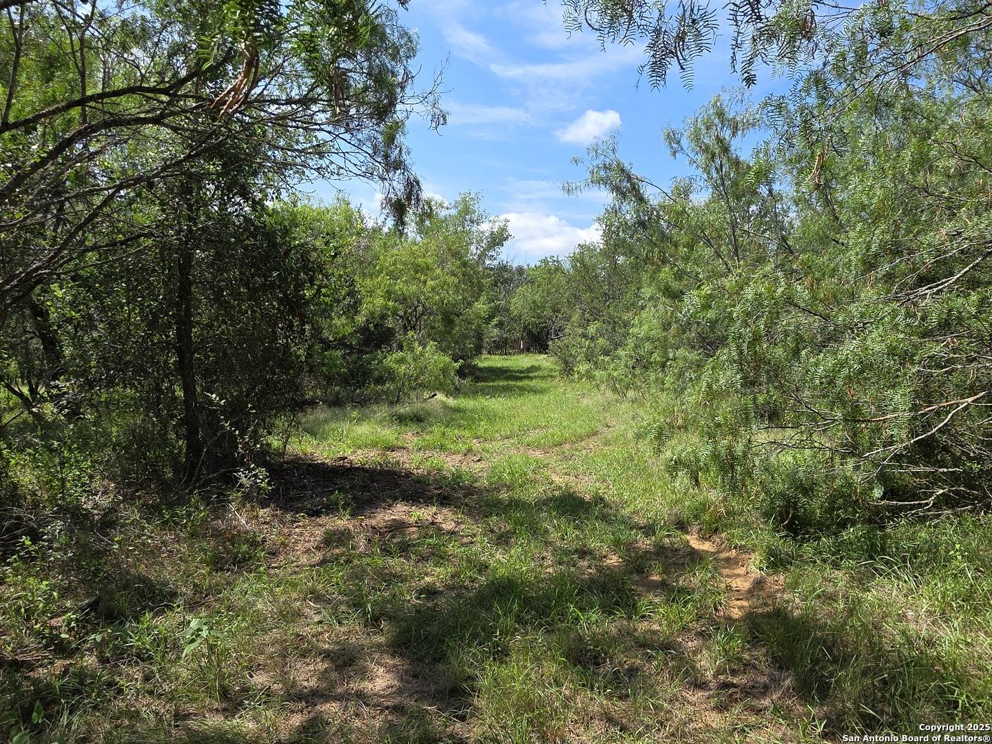 Seguin, TX 78155,485 Marrou Rd.
