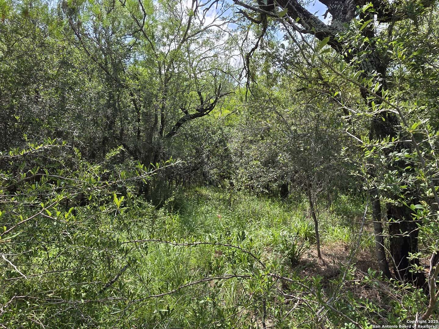 Seguin, TX 78155,675 LOT 5 Marrou Rd.