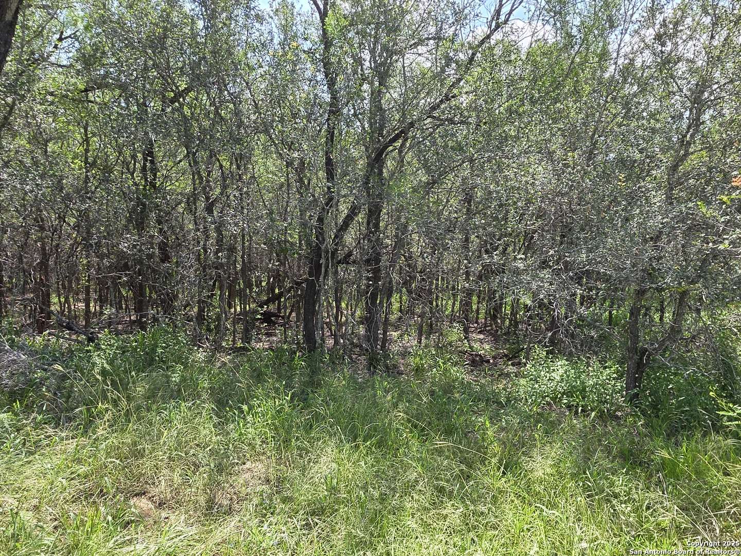 Seguin, TX 78155,565 Marrou Rd.