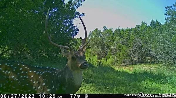 Bandera, TX 78003,698 Panther Hollow Dr.