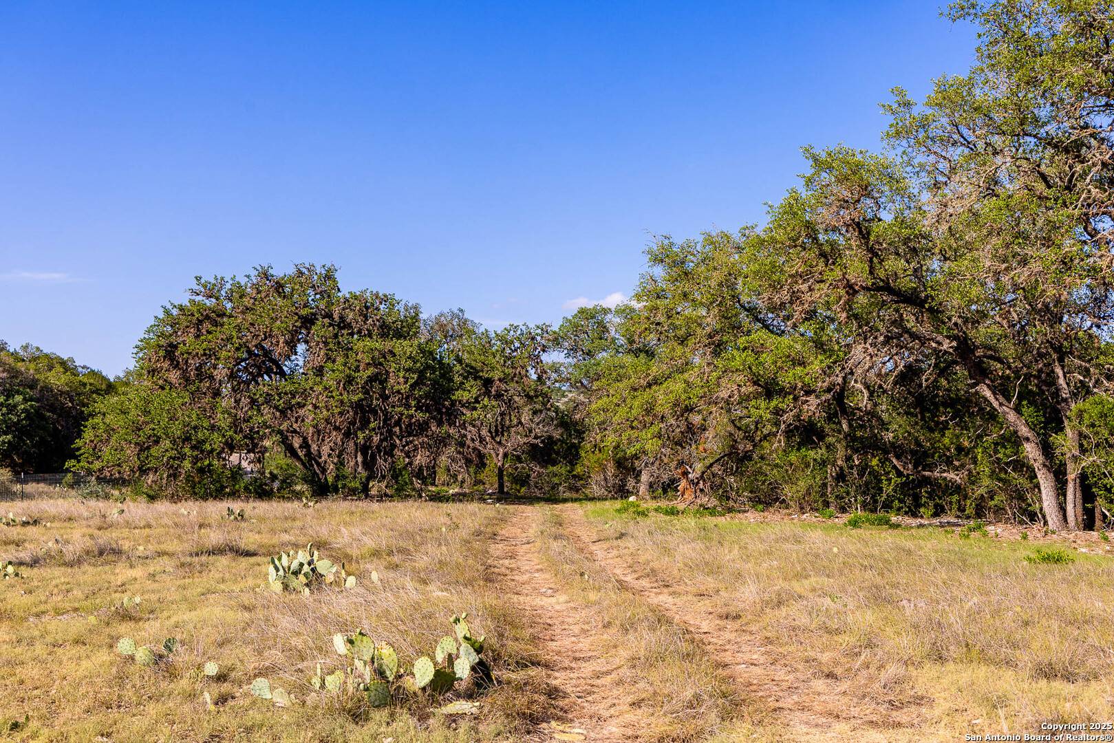 Rocksprings, TX 78880,14910 Bullhead Rd