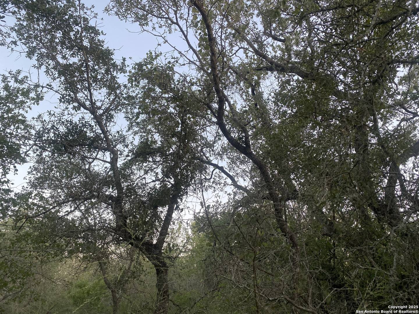 San Antonio, TX 78264,1291 camelot