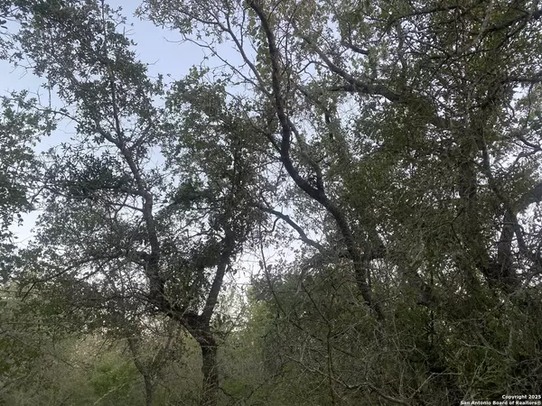 San Antonio, TX 78264,1291 camelot