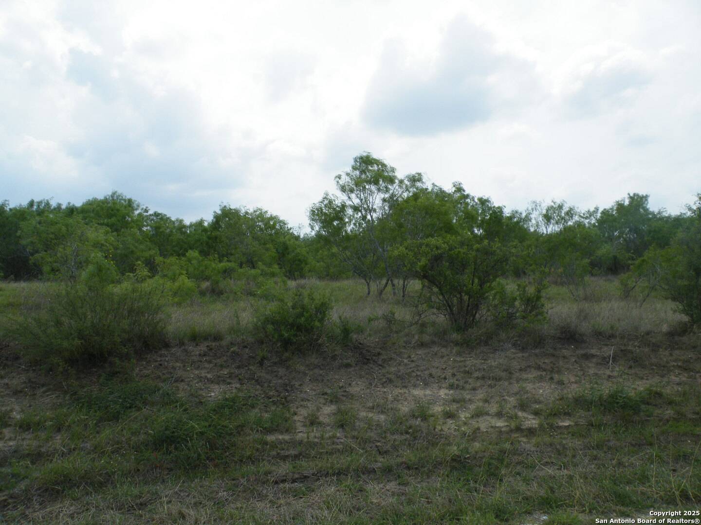 Pleasanton, TX 78064,618 County Road 154
