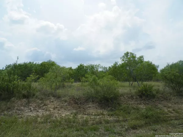 Pleasanton, TX 78064,618 County Road 154