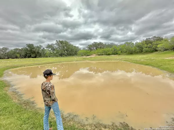 Devine, TX 78016,369.4 AC CR 7711