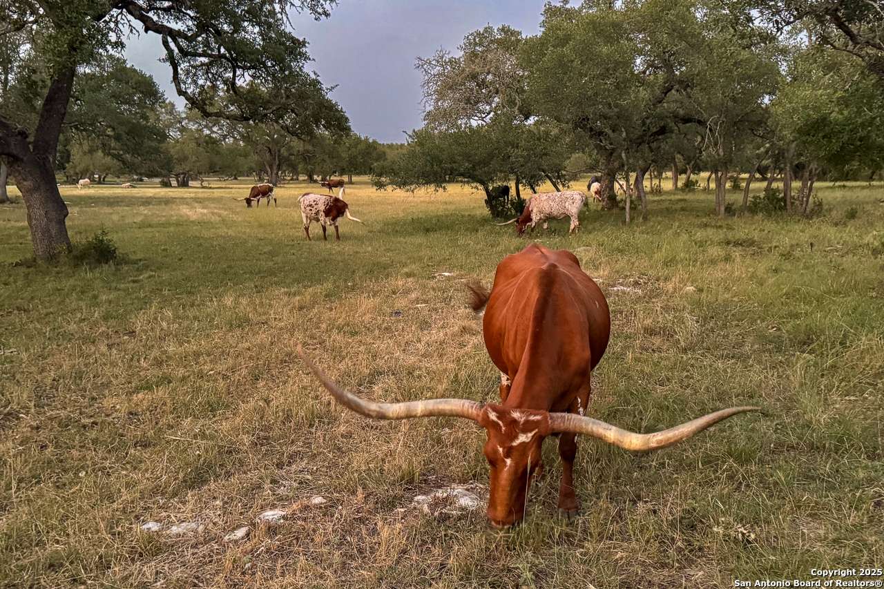 San Marcos, TX 78666,3111 Hugo Rd