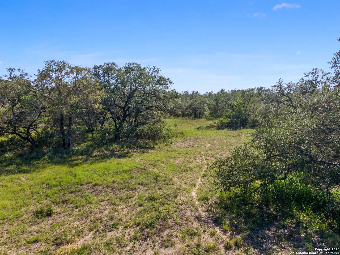 163 Palomino, Natalia, TX 78059