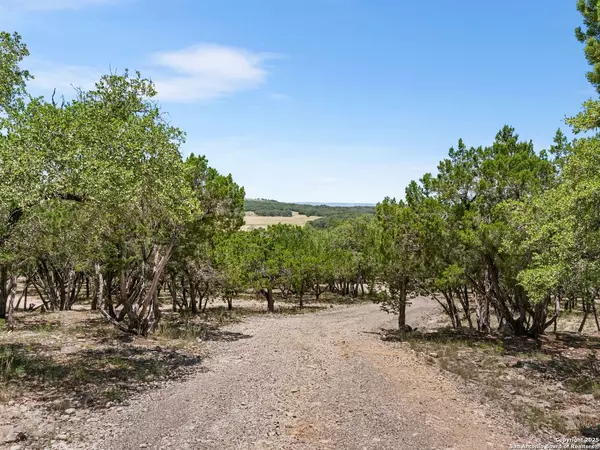 Bandera, TX 78003,4366 Whartons Dock