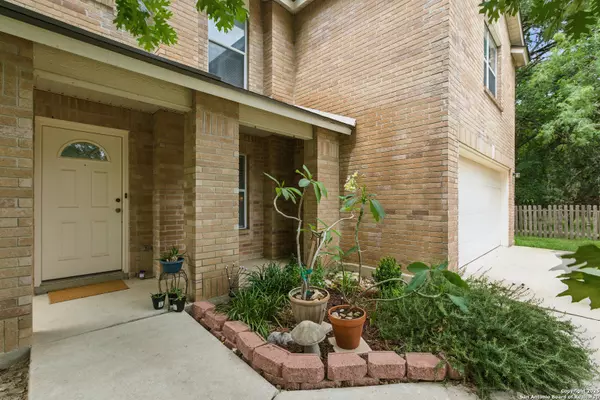 San Antonio, TX 78247,11 Viking Oak
