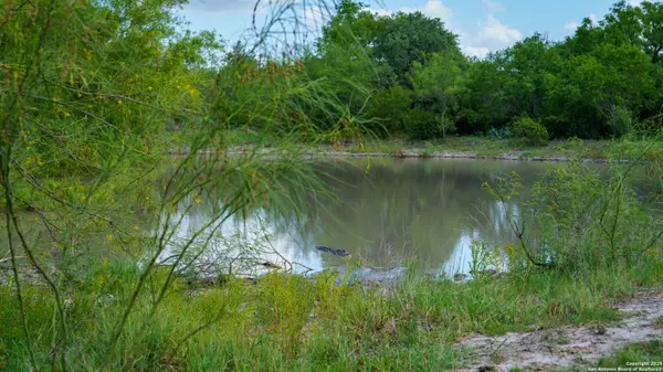 Mccoy, TX 78113,72+/- ACRES CR. 215