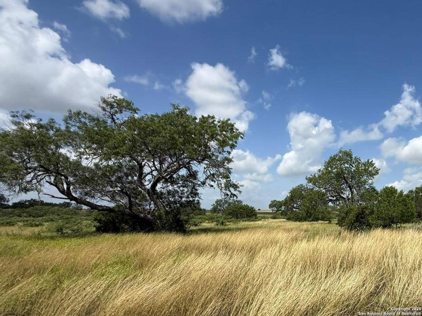 Kenedy, TX 78119,11234 Fm 626