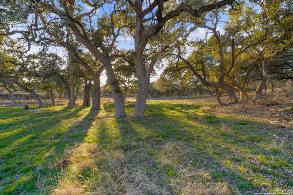 Canyon Lake, TX 78133,539 Clay Ridge