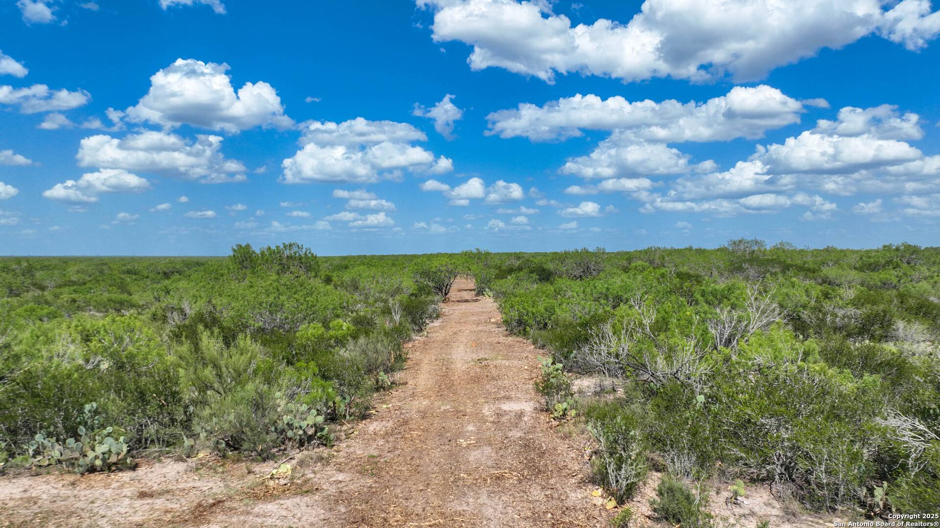 Fowlerton, TX 78021,000 Cameron Ln