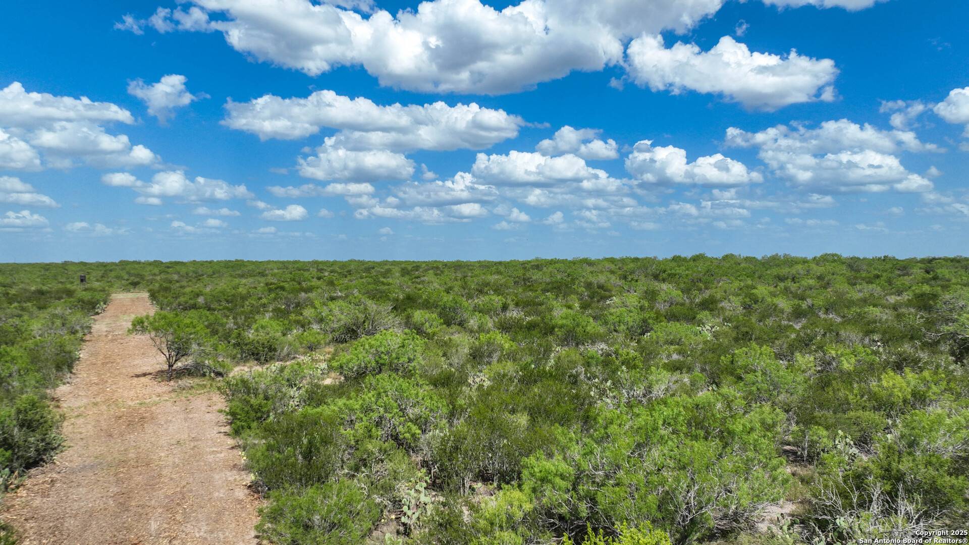Fowlerton, TX 78021,000 Cameron Ln
