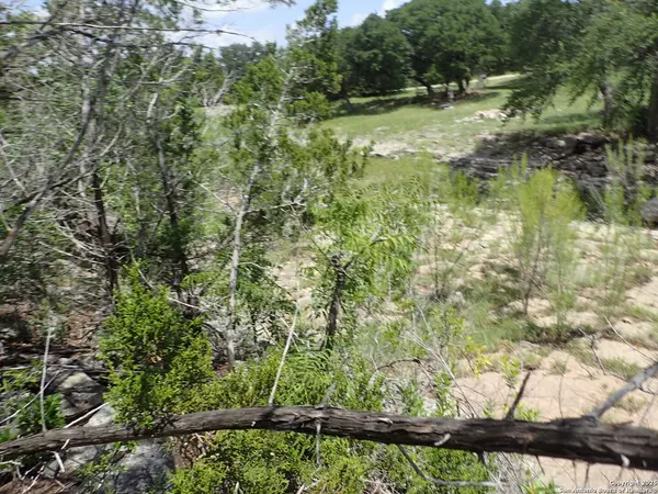 Lakehills, TX 78063,21 Tracie