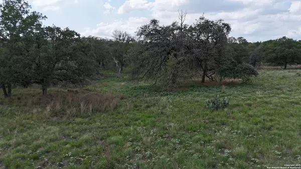 Adkins, TX 78101,1228 Morning Glory Ln