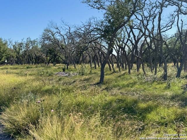 Mountain Home, TX 78058,LOT 10 Rustler Ridge