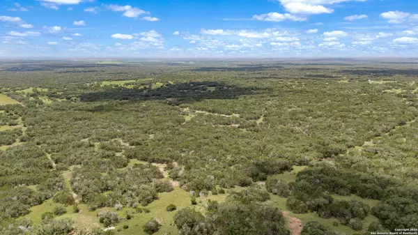Hondo, TX 78861,4601 county road 251