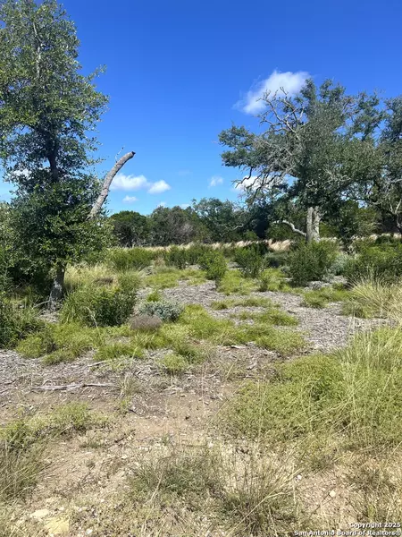 0000 Citadel, Center Point, TX 78010