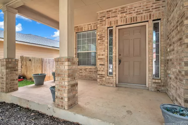 San Antonio, TX 78245,714 Celosia