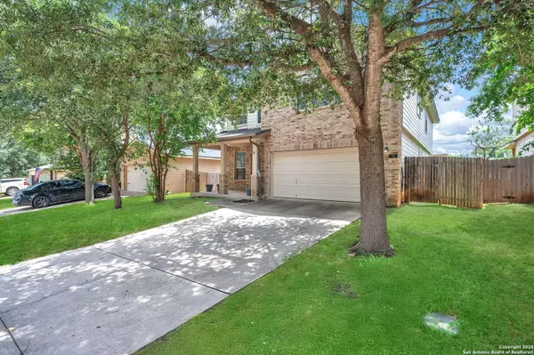 San Antonio, TX 78245,714 Celosia