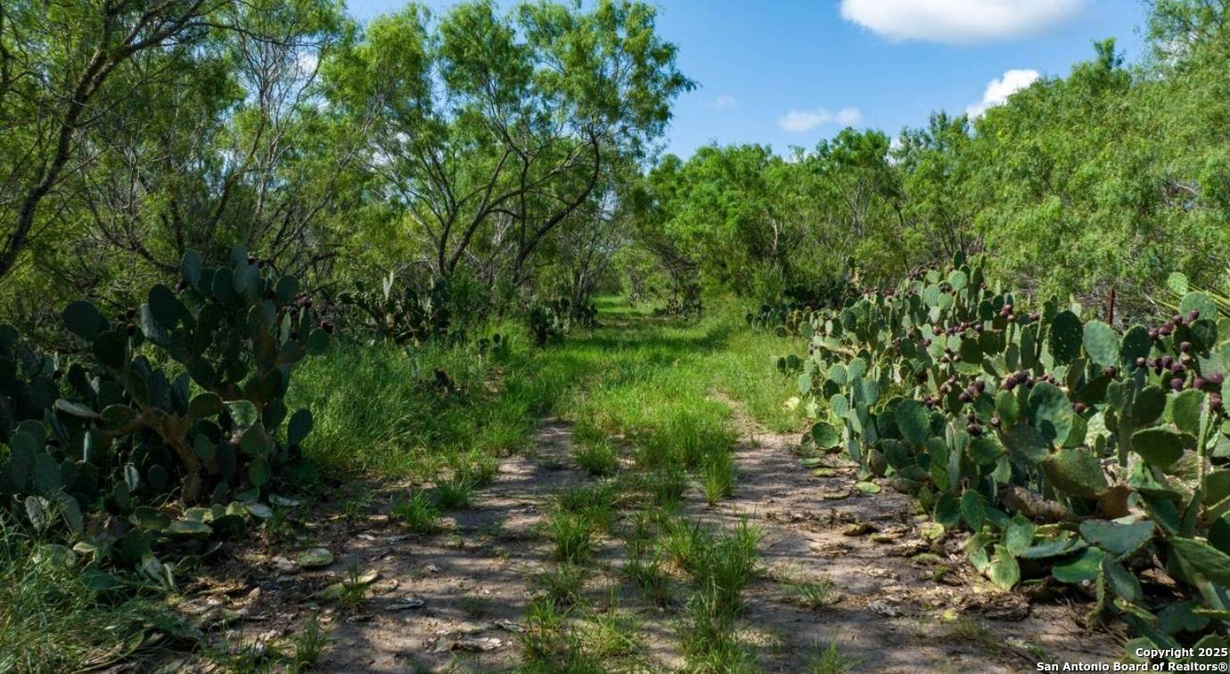 Three Rivers, TX 78071,000 County Road 241