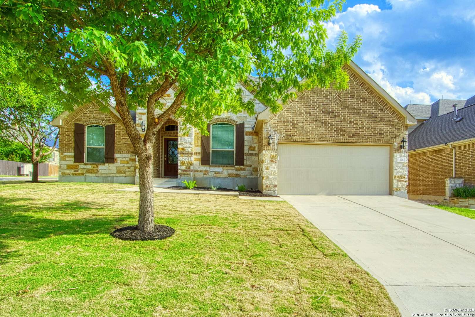 San Antonio, TX 78253,12902 Gypsophila