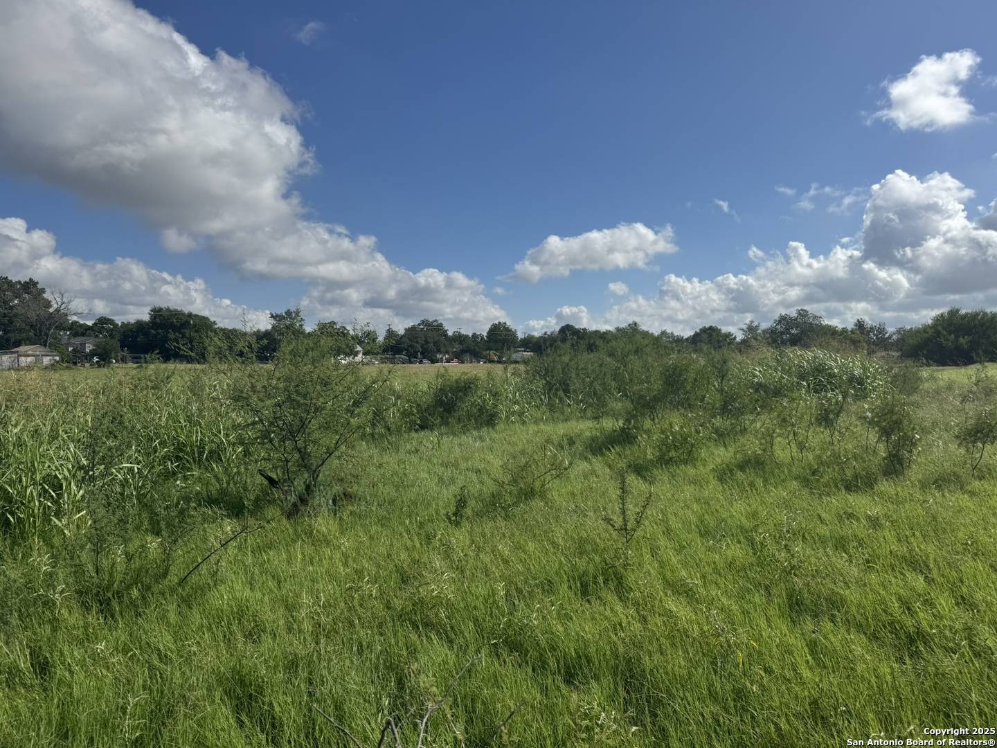 New Braunfels, TX 78130,0 Coco