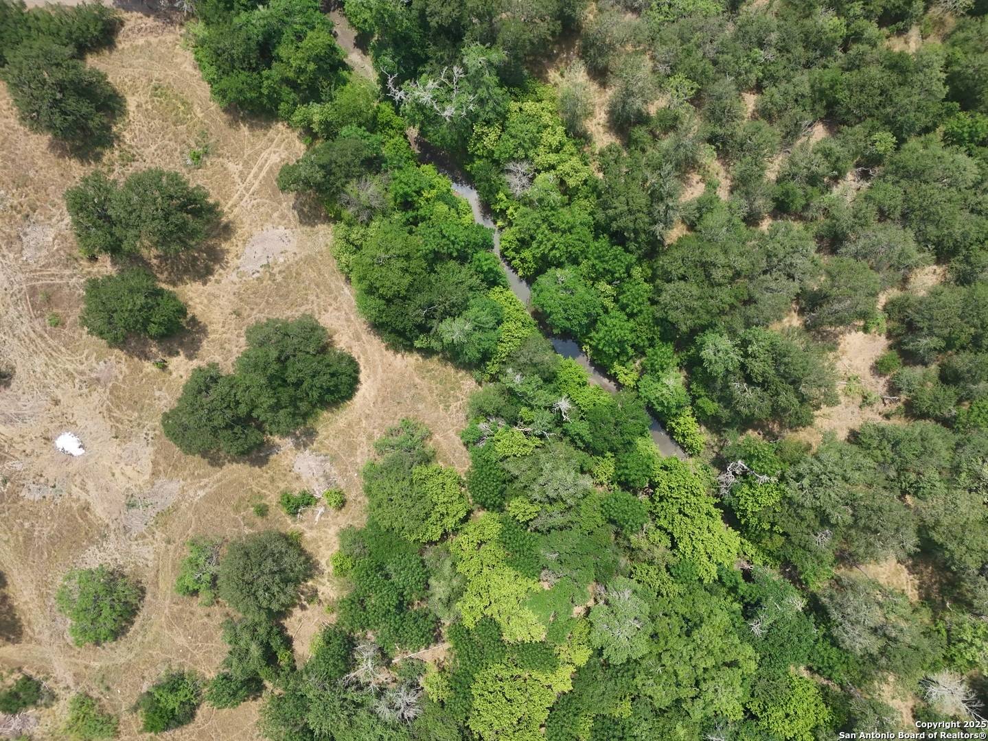 Cedar Creek, TX 78612,124 Valley Creek
