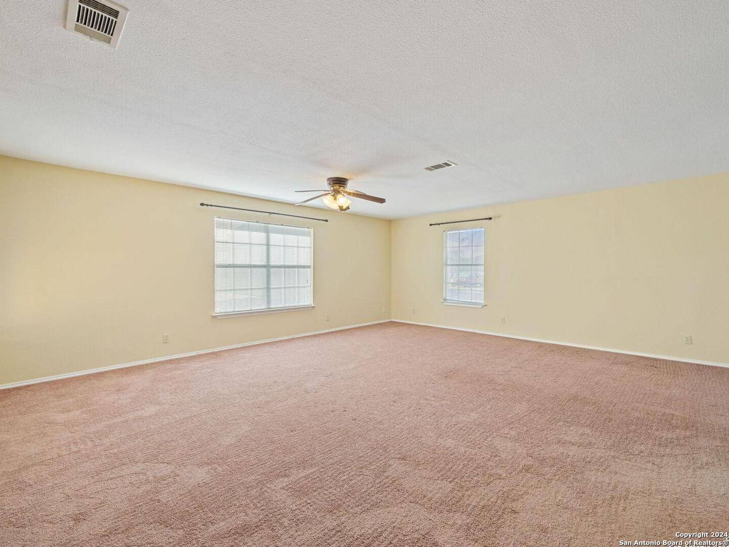 Natalia, TX 78059,17475 fm 463