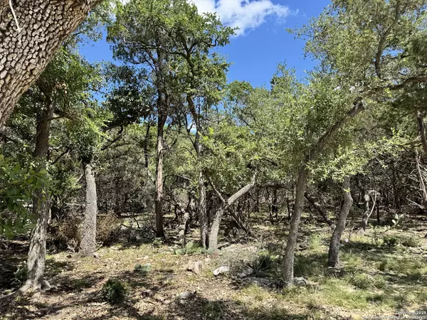 Spring Branch, TX 78070,1431 cedar grove