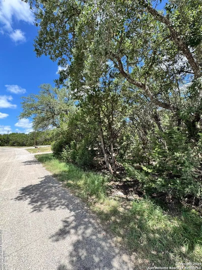 Spring Branch, TX 78070,1431 cedar grove