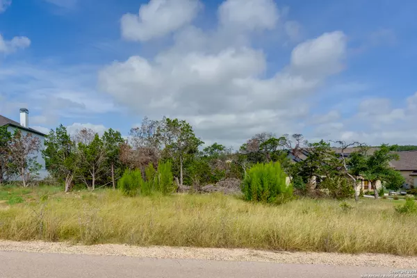 New Braunfels, TX 78132,318 IRON HL