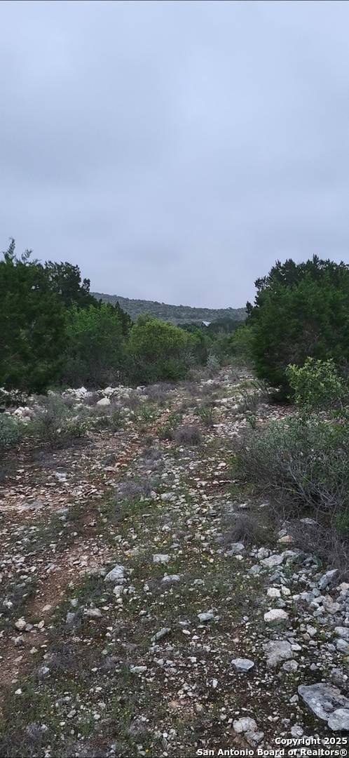 Uvalde, TX 78801,100 County Road 407