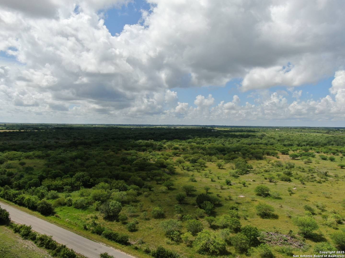 Hobson, TX 78117,TRACT 2 County Rd 207