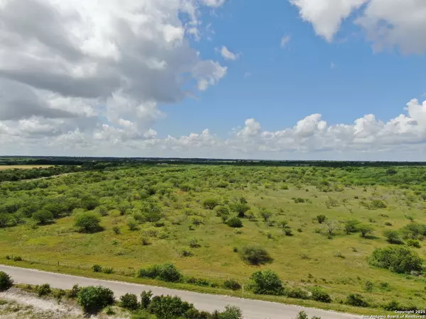 TRACT 3 County Rd 207, Hobson, TX 78117