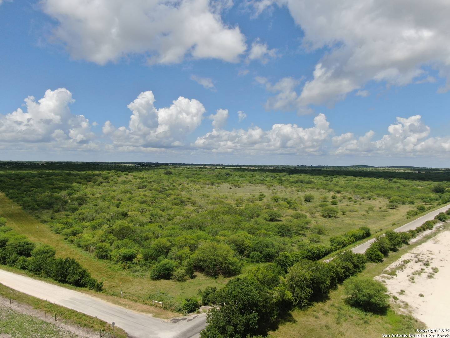 Hobson, TX 78117,TRACT 3 County Rd 207