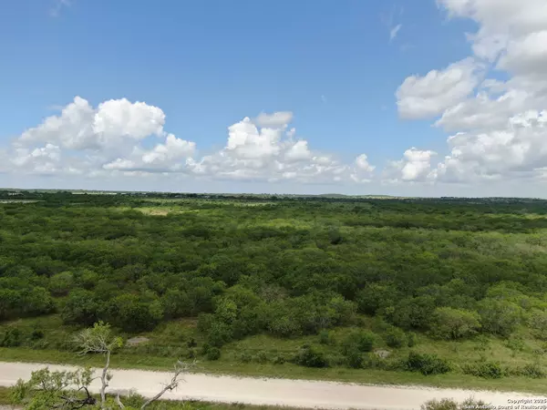 Hobson, TX 78117,TRACT 4 County Rd 208