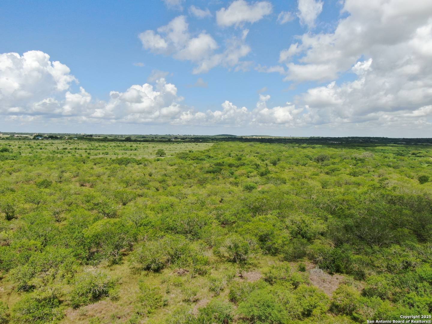 Hobson, TX 78117,TRACT 5 County Rd 208
