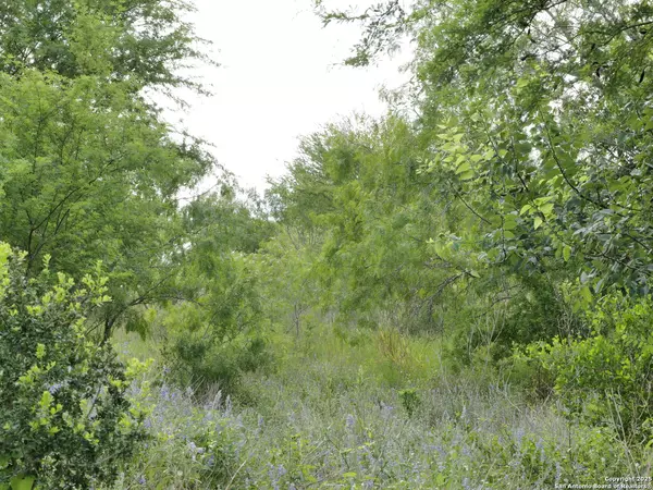 Hobson, TX 78117,TRACT 6 County Rd 208