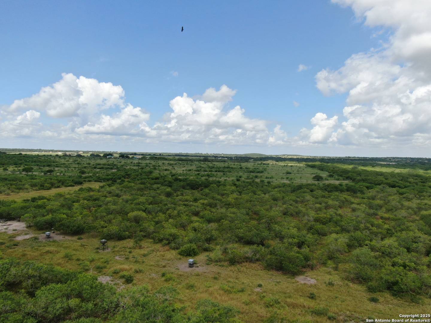 Hobson, TX 78117,TRACT 6 County Rd 208