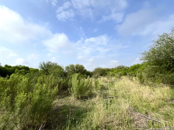 Dhanis, TX 78850,0000 CR 515