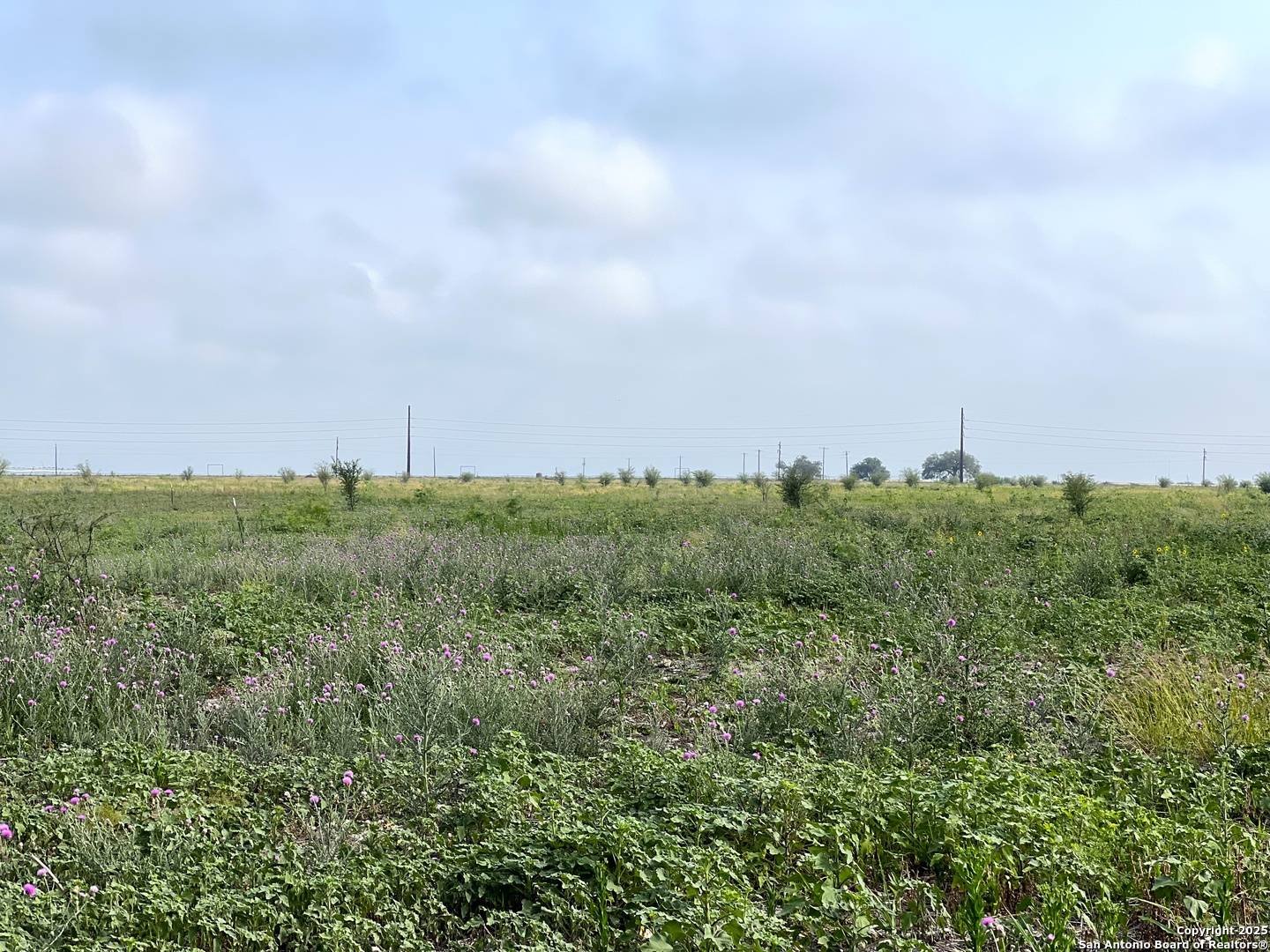 Dhanis, TX 78850,0000 CR 515