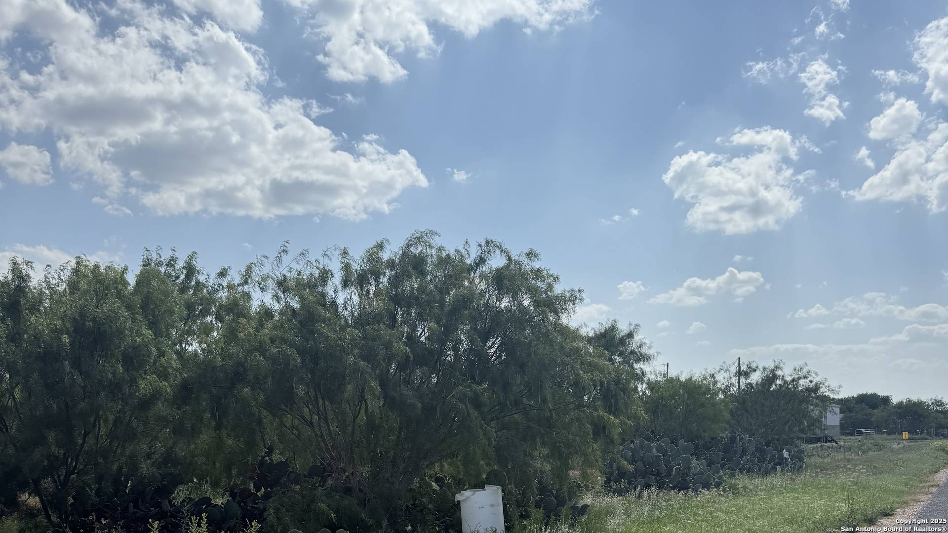 Pearsall, TX 78061,3420 LOT 1 TBD CR