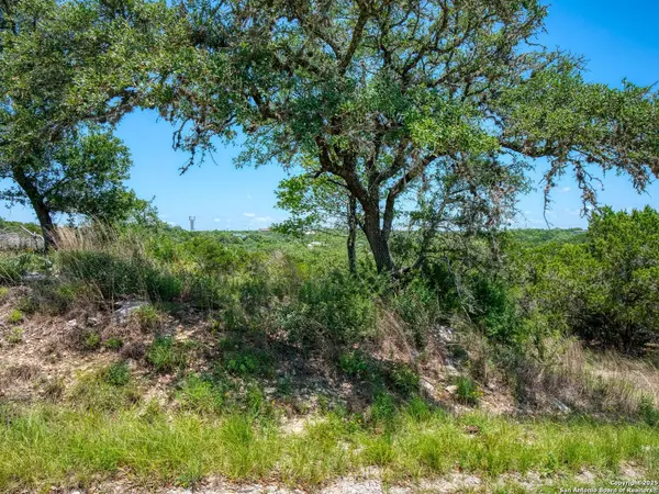 Canyon Lake, TX 78133,151 Nighthawk